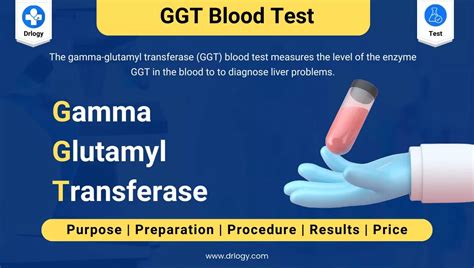 ggtp blood test|ggtp blood test labcorp.